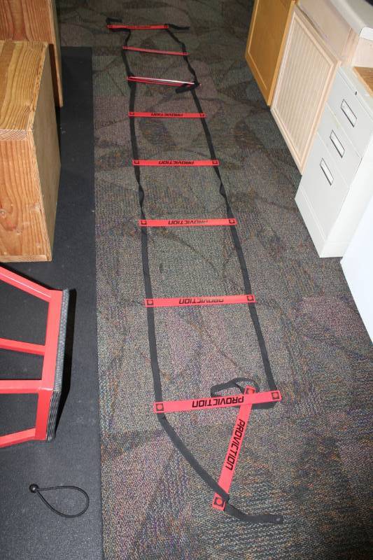 lot 374 image: Agility Ladder