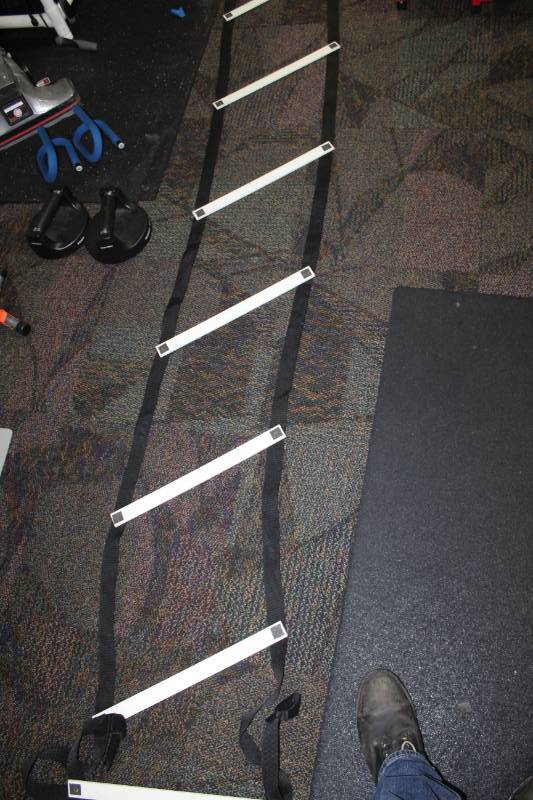 lot 375 image: Agility Ladder
