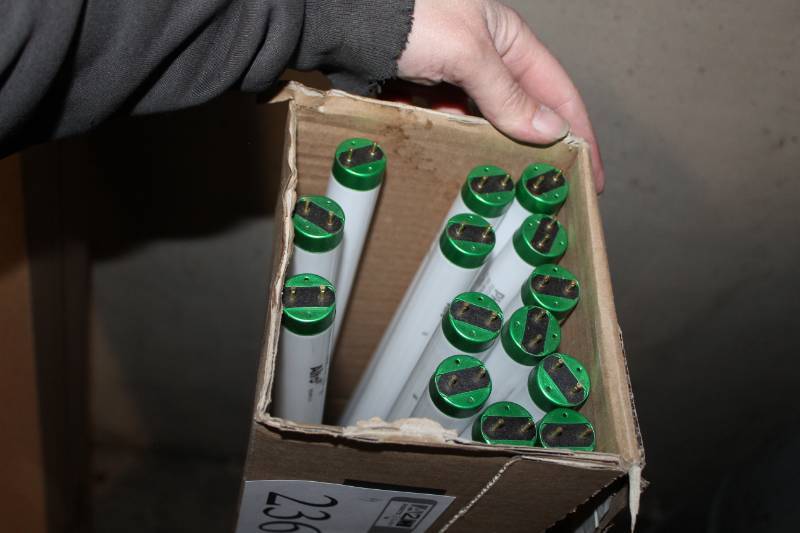 lot 236 image: Philips Fluorescent Lamps
