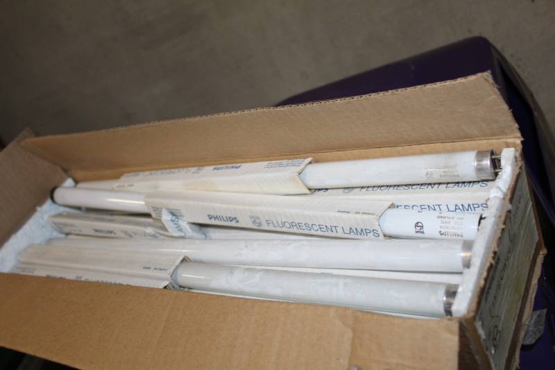 lot 239 image: Philips 24-inch Fluorescent Lamps