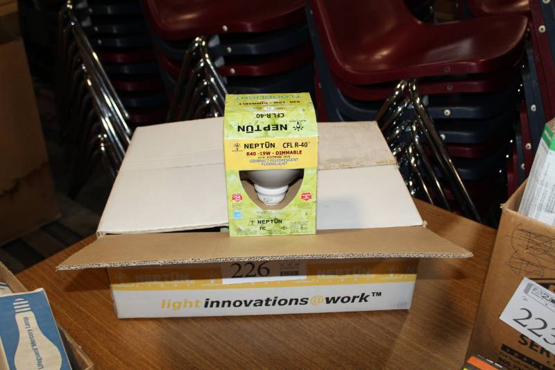 lot 226 image: Neptun Compact Fluorescent Floodlight