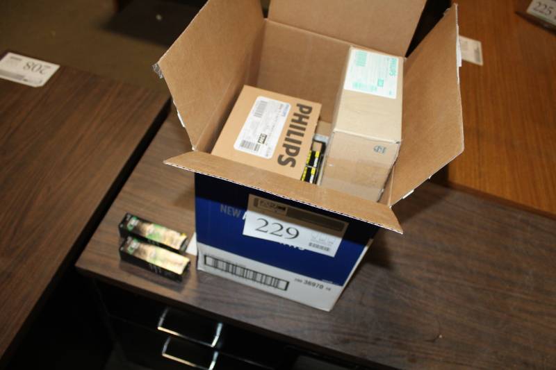 lot 229 image: Philips Compact Fluorescent Lamps
