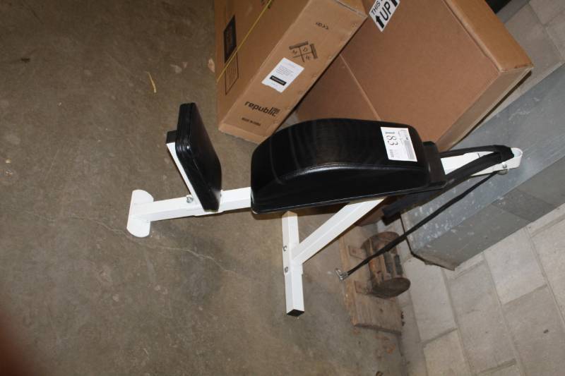lot 183 image: Padded Incline Triceps Bench