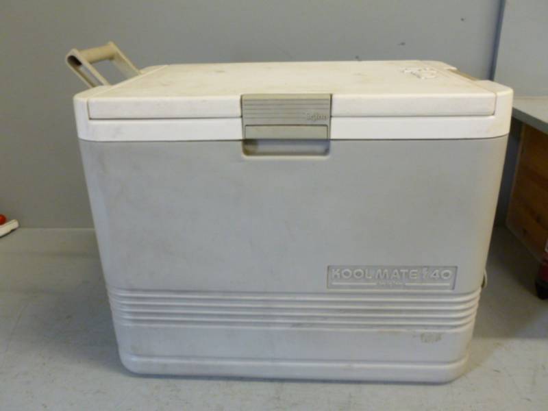 lot 238 image: 12 v Travel Cooler