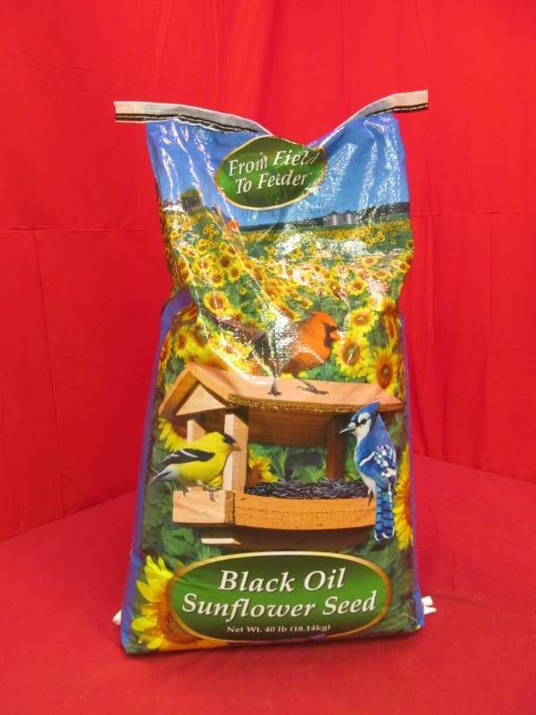 Black Oil Sunflower seed