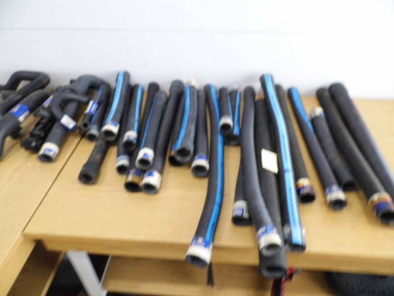 Radiator Hoses - Shocks