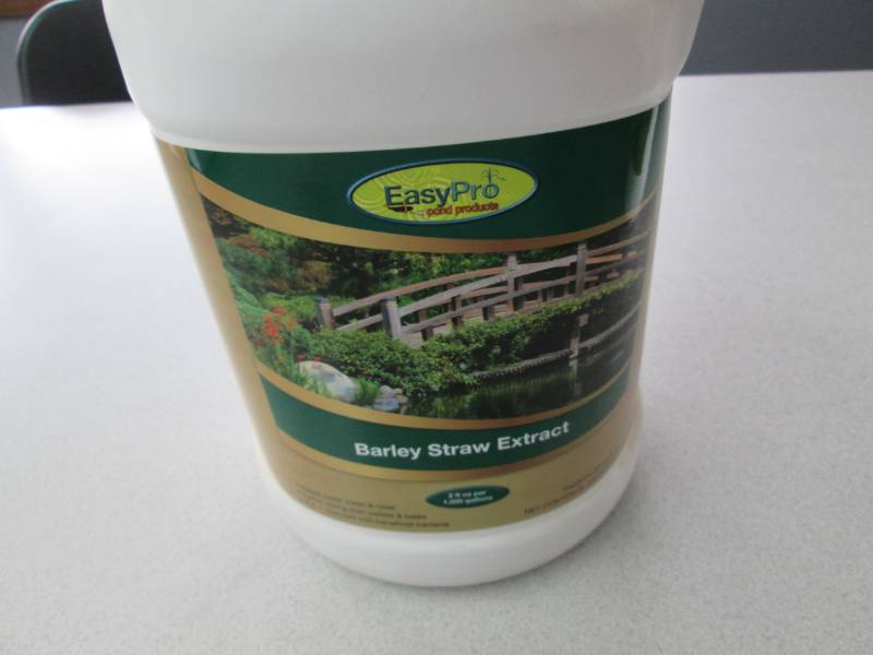 1 Gallon Barley Straw Extract pond ...