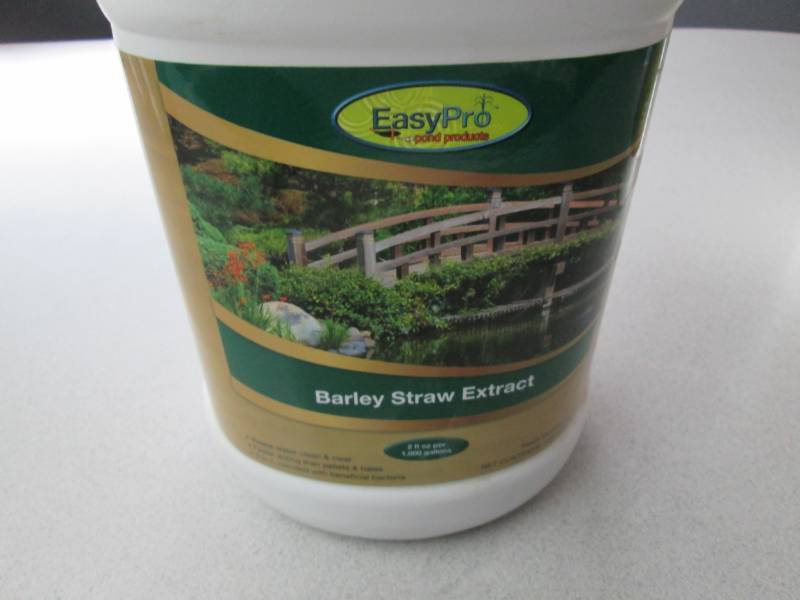 1 Gallon Barley Straw Extract pond ...
