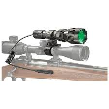 Sportsman 204