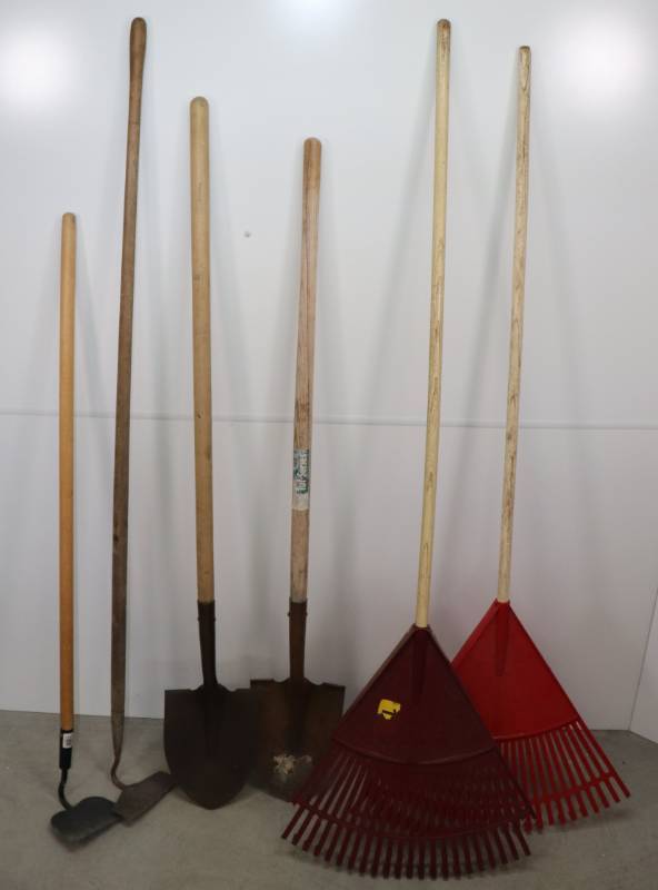 lot 41 image: Lot of Rakes, Shovels & Hoes