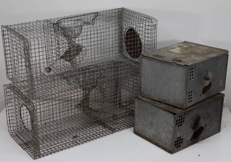 lot 49 image: Lot of (4) Mouse Traps