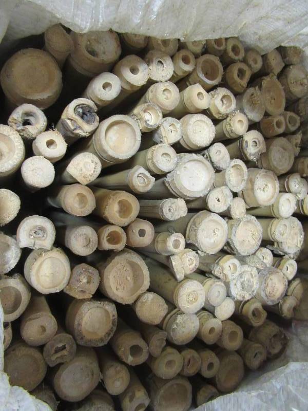 lot 141 image: 2 Cases of Backyard X-Scapes 34 in. D. 4 ft. H x 8 ft. W Natural Bamboo Fence, BAMA-BF027