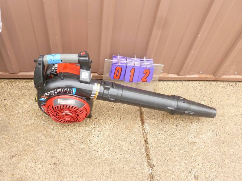 SnS Auctions # 369 Fun in the Summer
