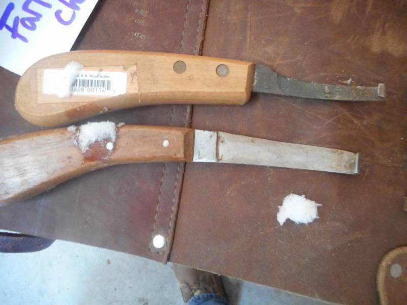 Farrier Chops