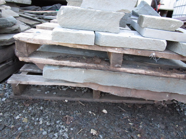 BLUESTONE CHUNKS AND SLABS