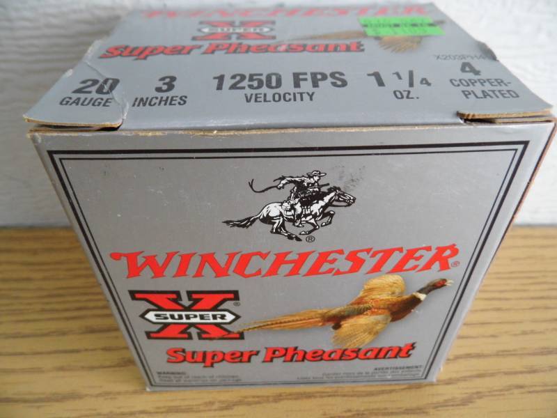 Winchester 20 GA Shells