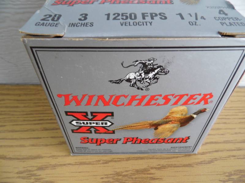 Winchester 20 GA Shells