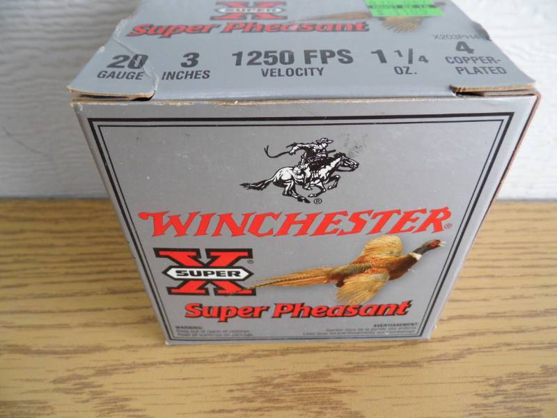 Winchester 20 GA Shells