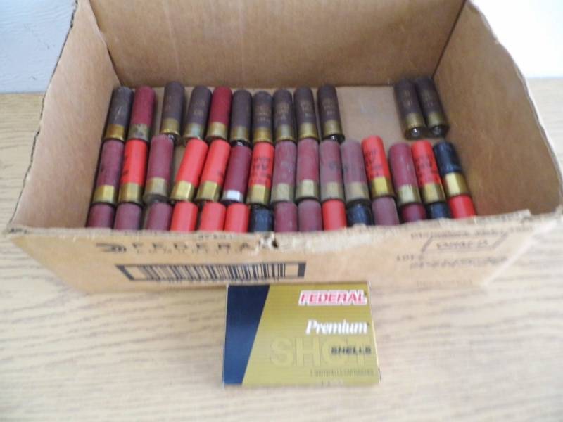 Assorted 12 GA Shells