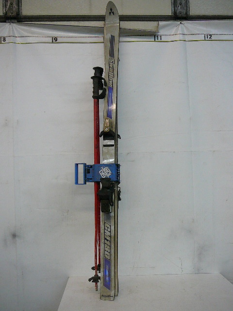 lot 34 image: Swallow Ski-Poles
