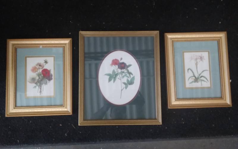 lot 47 image: 3-Floral Pictures
