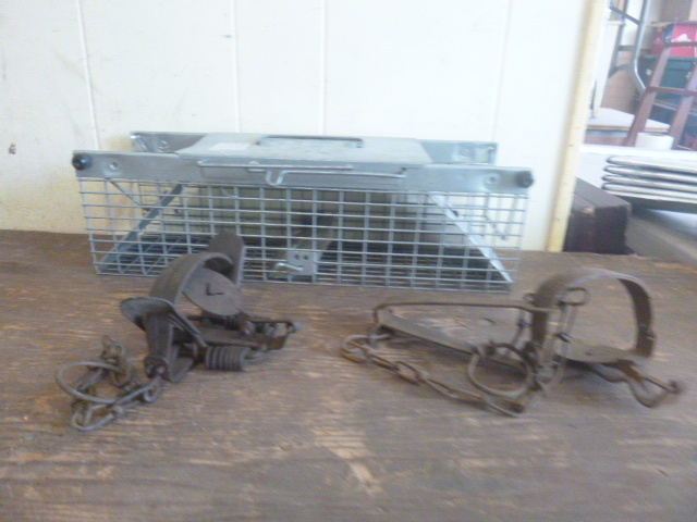 lot 43 image: 3 Hunting Traps