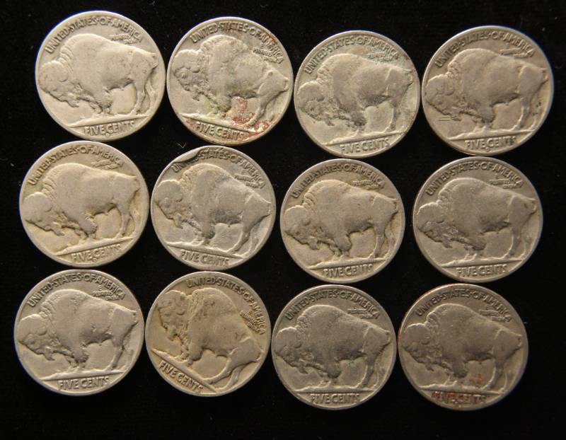 GROUP OF 12 US BUFFALO NICKELS