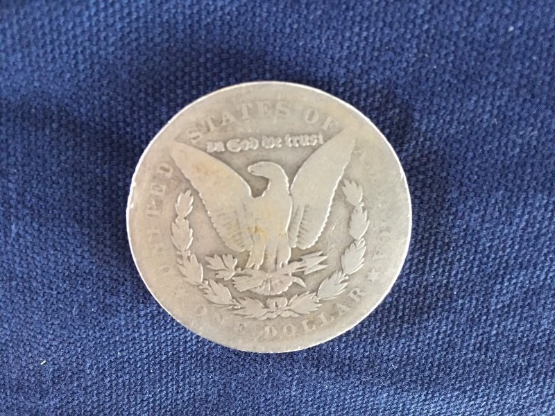 1883 Morgan Dollar