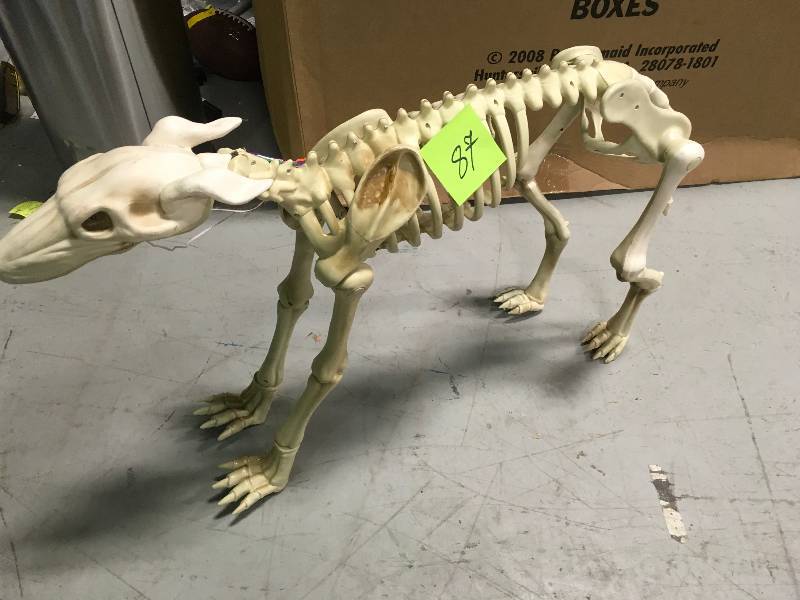 lot 87 image: 26 In. Animated Skeleton Greyhound With Led Illuminated Eyes Halloween Prop in good condition