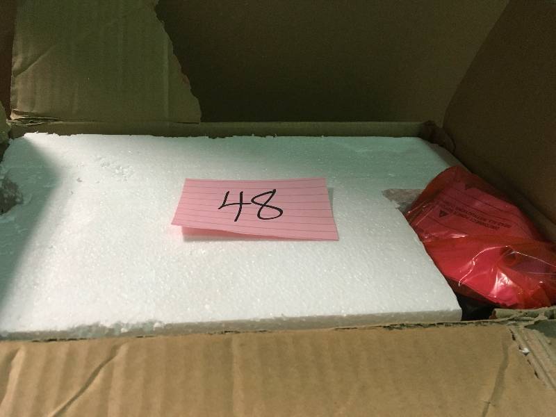 lot 48 image: Fifth and Main Lighting Sofia 1-Light Satin Nickel Sconce with Clear Outer Glass and Opal Inner Glass in good condition