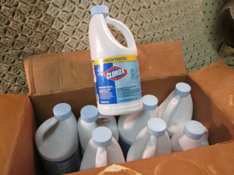 lot 302 image: Case of 8 Bottles of Clorox Bleach ...