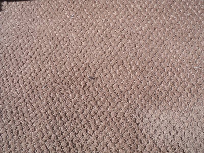 Carpeting  Creamy Brown Color 342...
