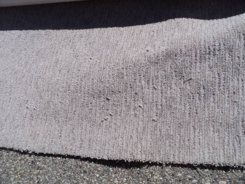 Carpeting  BrownTan 146 x 12...