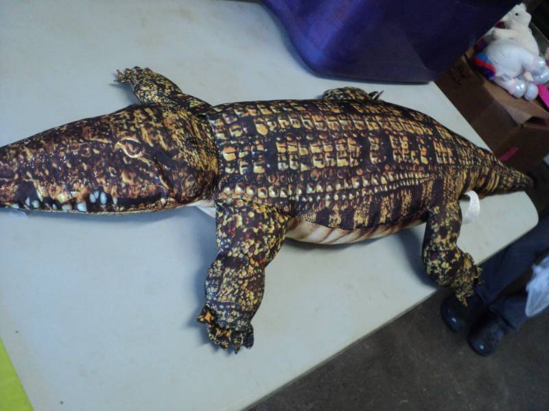 Alligator- 50 Long...