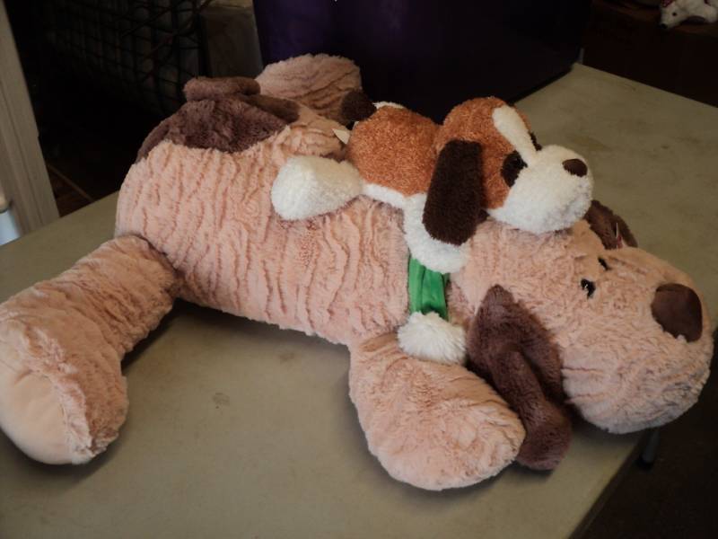 Large and Small Dog...