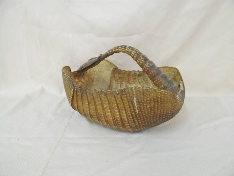 lot 83 image: Armadillo shell