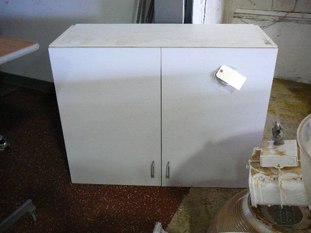 lot 145 image: CupboardStorage With Shelves