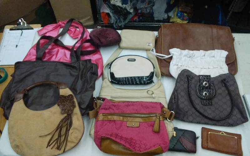 Lot Of Purses, Eddie Bauer Satchell, Totes, Cosmetic Bags, Clutches