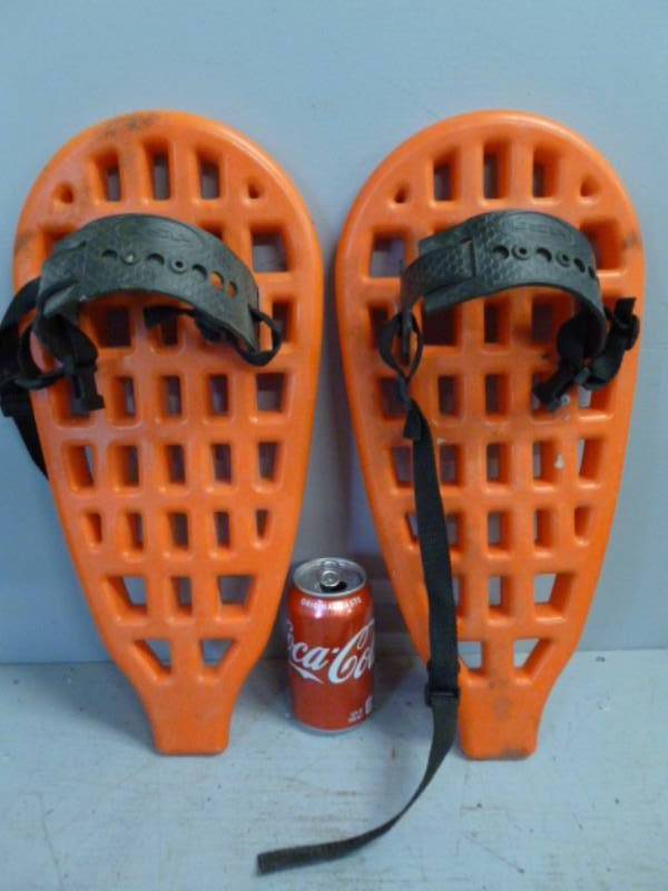 lot 44 image: Snow Shoes