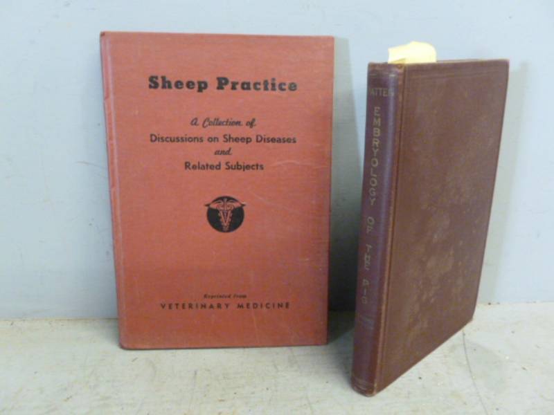 lot 136 image: Vintage Books