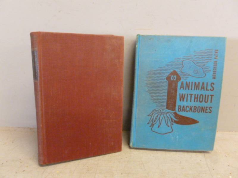 lot 139 image: Vintage Books