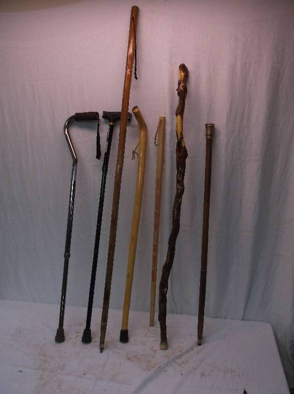 Walking Sticks