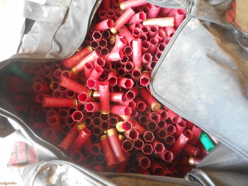 12 Gauge Casings