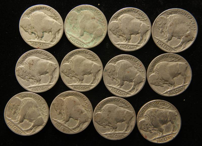 lot 72 image: GROUP OF 12 US BUFFALO NICKELS