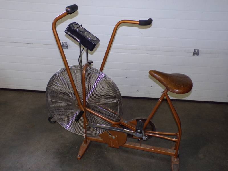 lot 113 image: Schwinn Aerodine Exersize bike