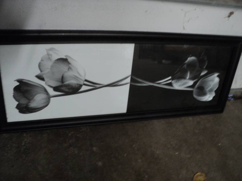 lot 17 image: 2 Flower Framed Pictures 15 x 39 an...