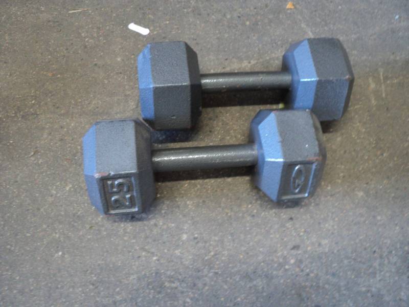 lot 70 image: 2 - 25 lbs. Weights...