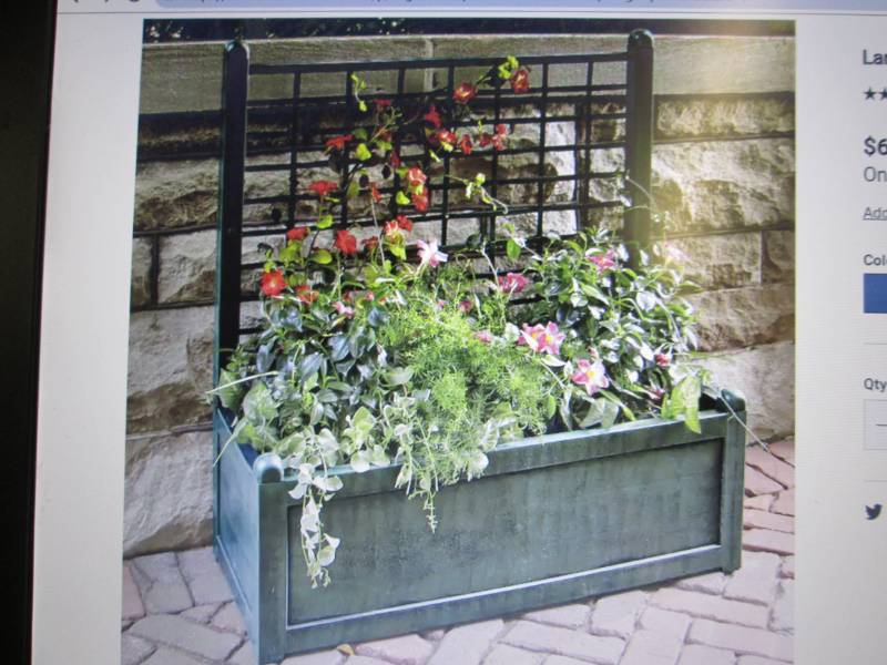 lot 161 image: Large Trellis Planter open box Reta...