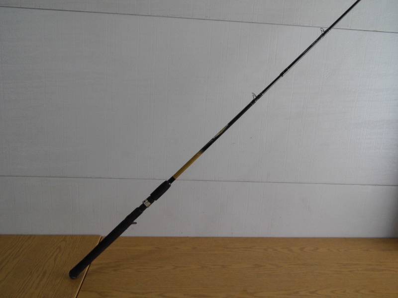 Cabelas Depthmaster Fishing Rod