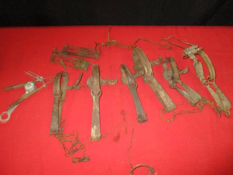lot 24 image: Victor Traps and Snare Traps